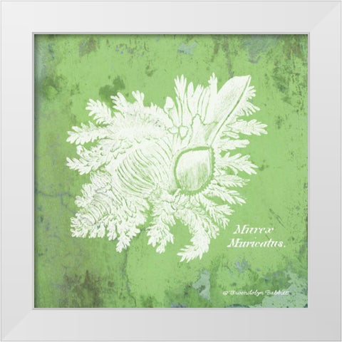 Caribbean Shell IV White Modern Wood Framed Art Print by Babbitt, Gwendolyn