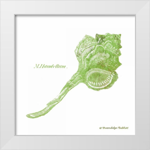 Shell on White IV White Modern Wood Framed Art Print by Babbitt, Gwendolyn