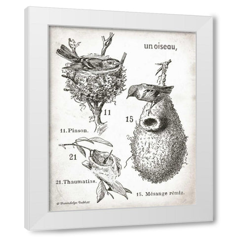 French Birdnests White Modern Wood Framed Art Print by Babbitt, Gwendolyn