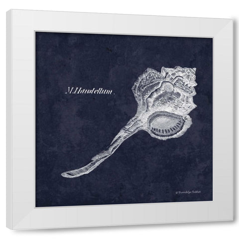 Indigo Shell II White Modern Wood Framed Art Print by Babbitt, Gwendolyn