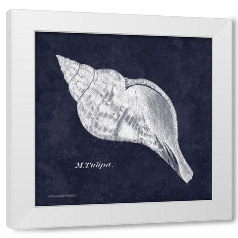 Indigo Shell III White Modern Wood Framed Art Print by Babbitt, Gwendolyn