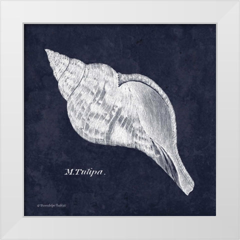 Indigo Shell III White Modern Wood Framed Art Print by Babbitt, Gwendolyn