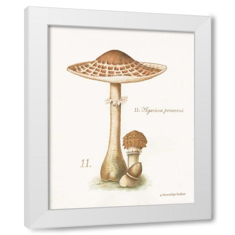 Mushroom I White Modern Wood Framed Art Print by Babbitt, Gwendolyn