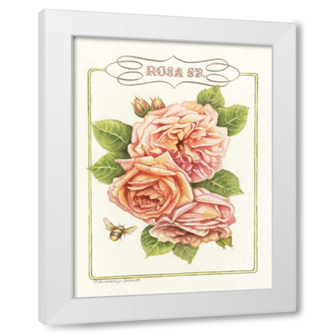 Rose Species White Modern Wood Framed Art Print by Babbitt, Gwendolyn
