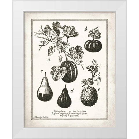 French Gourds White Modern Wood Framed Art Print by Babbitt, Gwendolyn