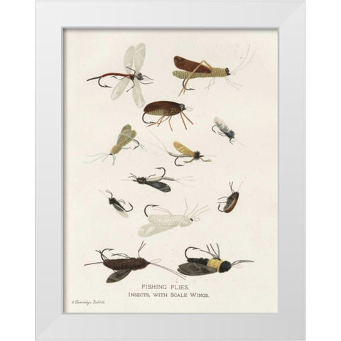 Fishing Flies I White Modern Wood Framed Art Print by Babbitt, Gwendolyn