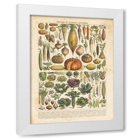 French Vegetable Chart White Modern Wood Framed Art Print by Babbitt, Gwendolyn