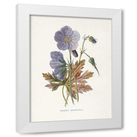 Meadow Cranes-Bill White Modern Wood Framed Art Print by Babbitt, Gwendolyn