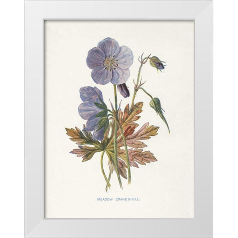 Meadow Cranes-Bill White Modern Wood Framed Art Print by Babbitt, Gwendolyn