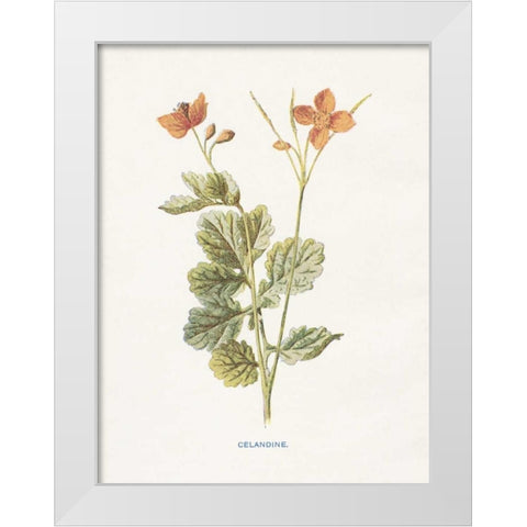 Celandine White Modern Wood Framed Art Print by Babbitt, Gwendolyn