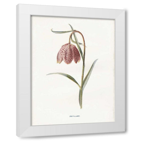 Fritillary White Modern Wood Framed Art Print by Babbitt, Gwendolyn