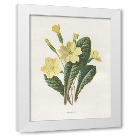 Primrose White Modern Wood Framed Art Print by Babbitt, Gwendolyn