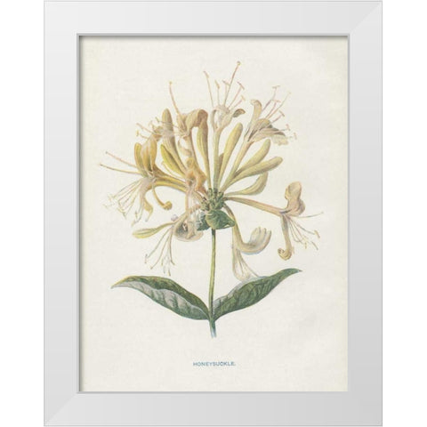 Honeysuckle White Modern Wood Framed Art Print by Babbitt, Gwendolyn