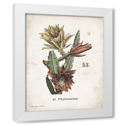 Cacti I White Modern Wood Framed Art Print by Babbitt, Gwendolyn