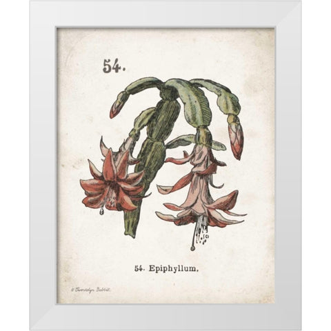 Cacti II White Modern Wood Framed Art Print by Babbitt, Gwendolyn