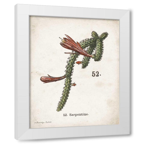 Cacti III White Modern Wood Framed Art Print by Babbitt, Gwendolyn