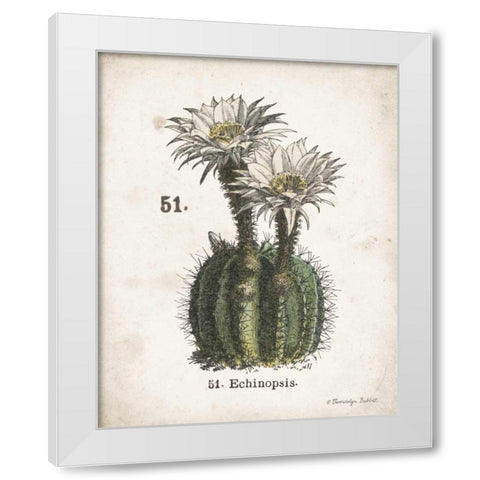 Cacti IV White Modern Wood Framed Art Print by Babbitt, Gwendolyn
