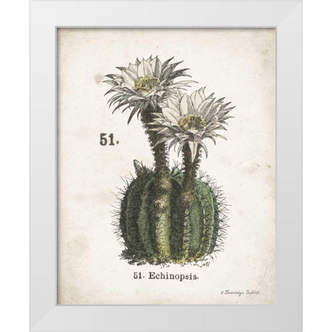 Cacti IV White Modern Wood Framed Art Print by Babbitt, Gwendolyn