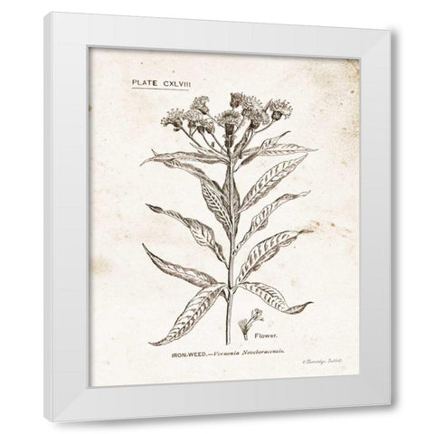 Flower Plate III White Modern Wood Framed Art Print by Babbitt, Gwendolyn