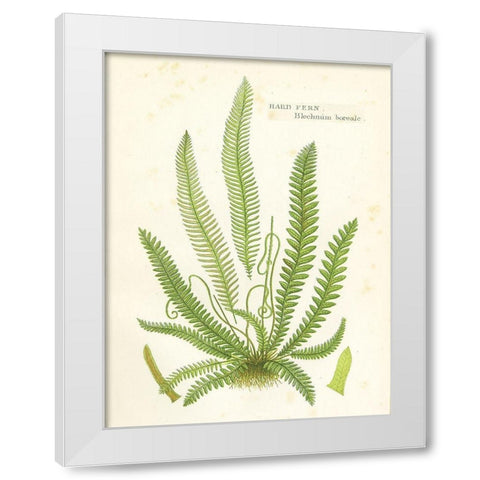 Fern I White Modern Wood Framed Art Print by Babbitt, Gwendolyn