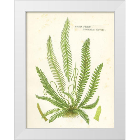 Fern I White Modern Wood Framed Art Print by Babbitt, Gwendolyn