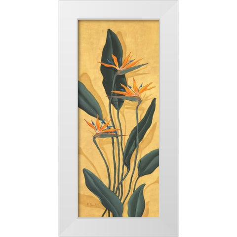Bird of Paradise White Modern Wood Framed Art Print by Brent, Paul