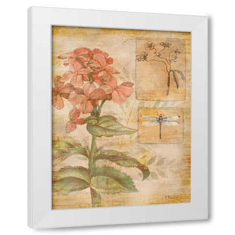 Flora Dragonfly White Modern Wood Framed Art Print by Brent, Paul