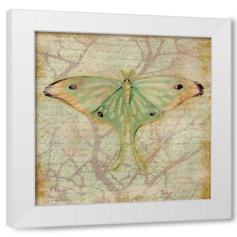 Vintage Butterflies III White Modern Wood Framed Art Print by Brent, Paul