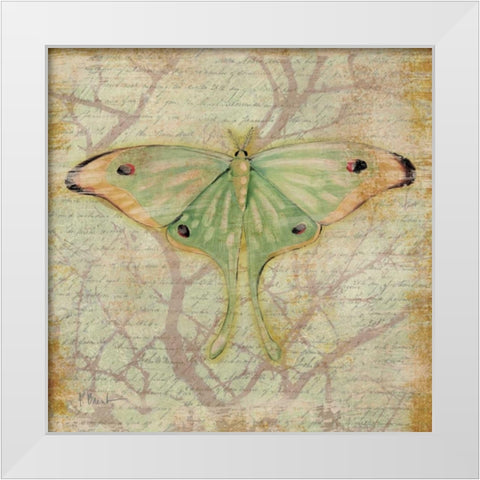 Vintage Butterflies III White Modern Wood Framed Art Print by Brent, Paul