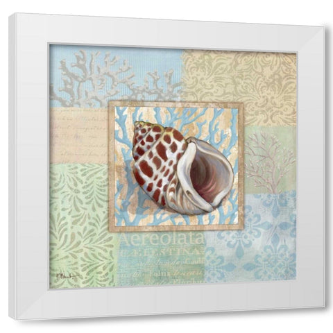 Oceanic Shell Collage I White Modern Wood Framed Art Print by Brent, Paul