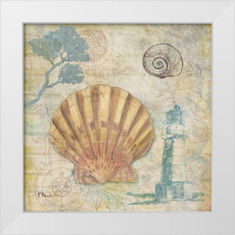 Discovery Shell II White Modern Wood Framed Art Print by Brent, Paul