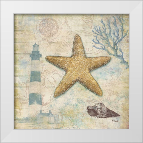 Discovery Shell III White Modern Wood Framed Art Print by Brent, Paul