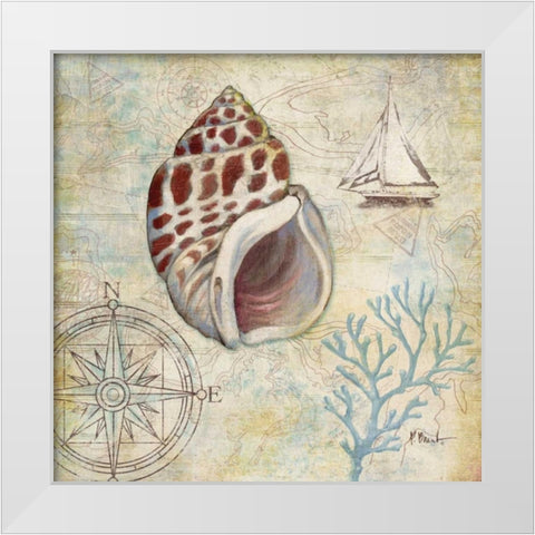 Discovery Shell IV White Modern Wood Framed Art Print by Brent, Paul