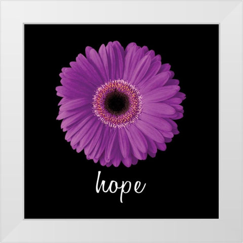 Hope Daisy White Modern Wood Framed Art Print by Christensen, Jim