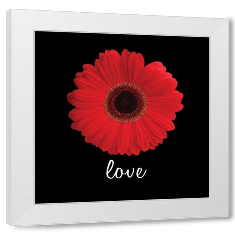 Love Daisy White Modern Wood Framed Art Print by Christensen, Jim