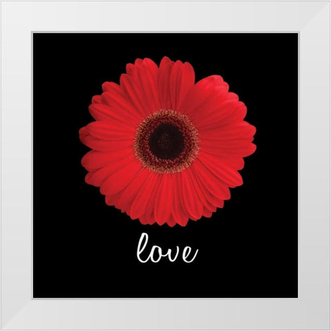 Love Daisy White Modern Wood Framed Art Print by Christensen, Jim