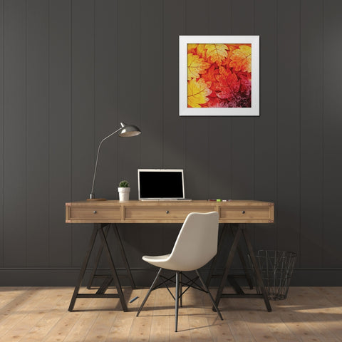 Autumn Hues I White Modern Wood Framed Art Print by Blue Fish