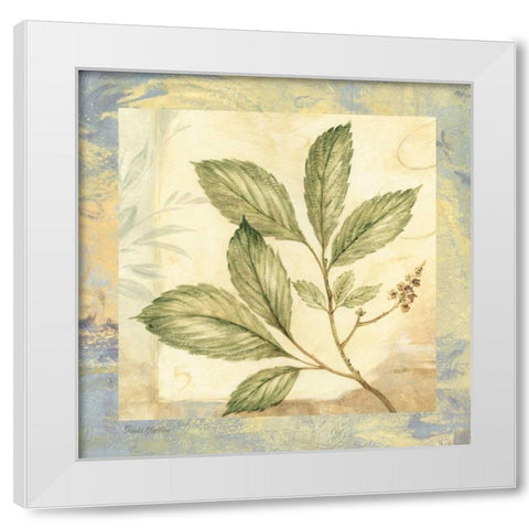 Leaf Botanicals II White Modern Wood Framed Art Print by Gladding, Pamela