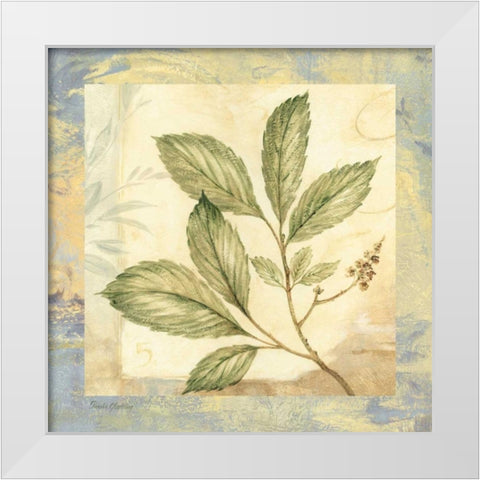Leaf Botanicals II White Modern Wood Framed Art Print by Gladding, Pamela