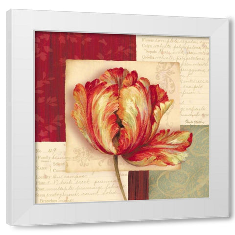 Bella Donna I White Modern Wood Framed Art Print by Gladding, Pamela