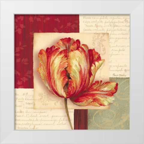 Bella Donna I White Modern Wood Framed Art Print by Gladding, Pamela