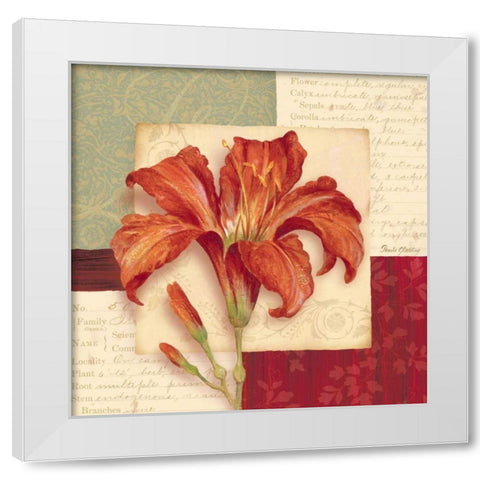 Bella Donna II White Modern Wood Framed Art Print by Gladding, Pamela