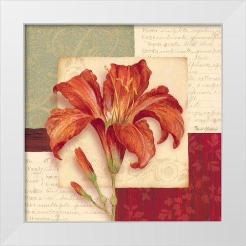Bella Donna II White Modern Wood Framed Art Print by Gladding, Pamela