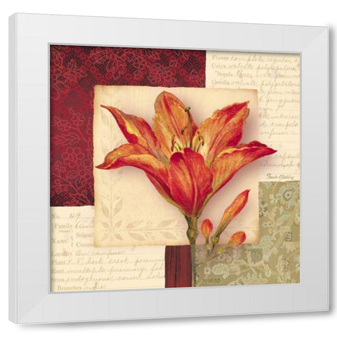 Bella Donna IV White Modern Wood Framed Art Print by Gladding, Pamela