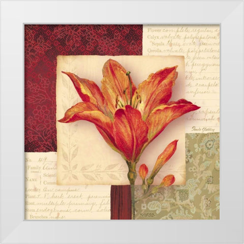 Bella Donna IV White Modern Wood Framed Art Print by Gladding, Pamela