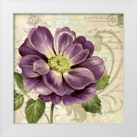 Study in Purple I White Modern Wood Framed Art Print by Gladding, Pamela