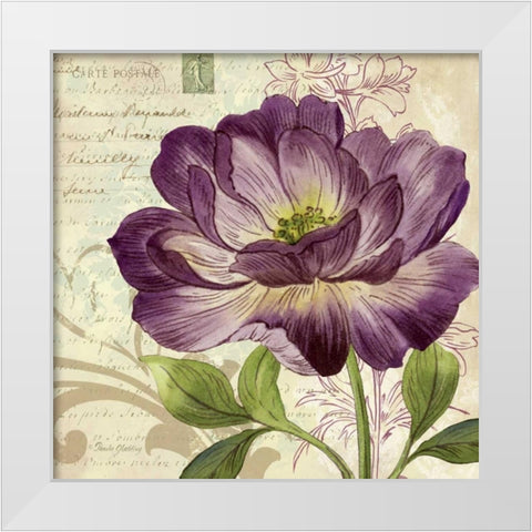 Study in Purple II White Modern Wood Framed Art Print by Gladding, Pamela
