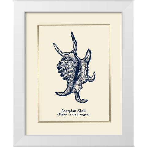 Scorpion Shell White Modern Wood Framed Art Print by Gorham, Gregory