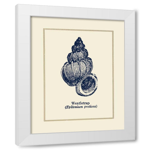 Wentletrap Shell White Modern Wood Framed Art Print by Gorham, Gregory