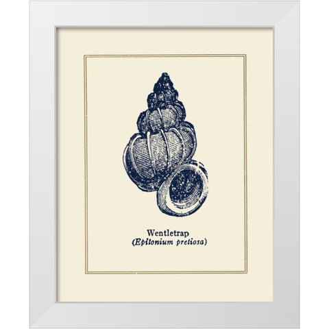 Wentletrap Shell White Modern Wood Framed Art Print by Gorham, Gregory